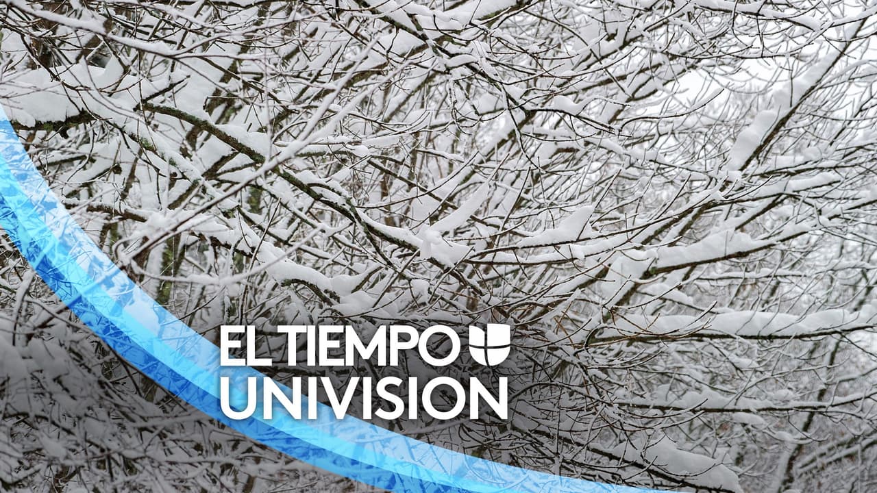 Prevén nieve para el norte de Arizona y bajas temperaturas en el centro y sur del estado