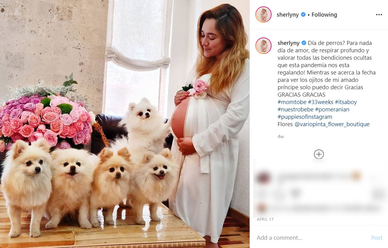 "Quiero encontrar un nombre que me haga sentir que
<b><a href="https://www.univision.com/famosos/asi-es-como-sherlyn-elegira-el-nombre-para-su-hijo-y-sabra-que-es-el-ideal-fotos">esa es la cara de mi hijo</a></b>. Me lo he tomado con calma", comentó en un video de Instagram.
<br>