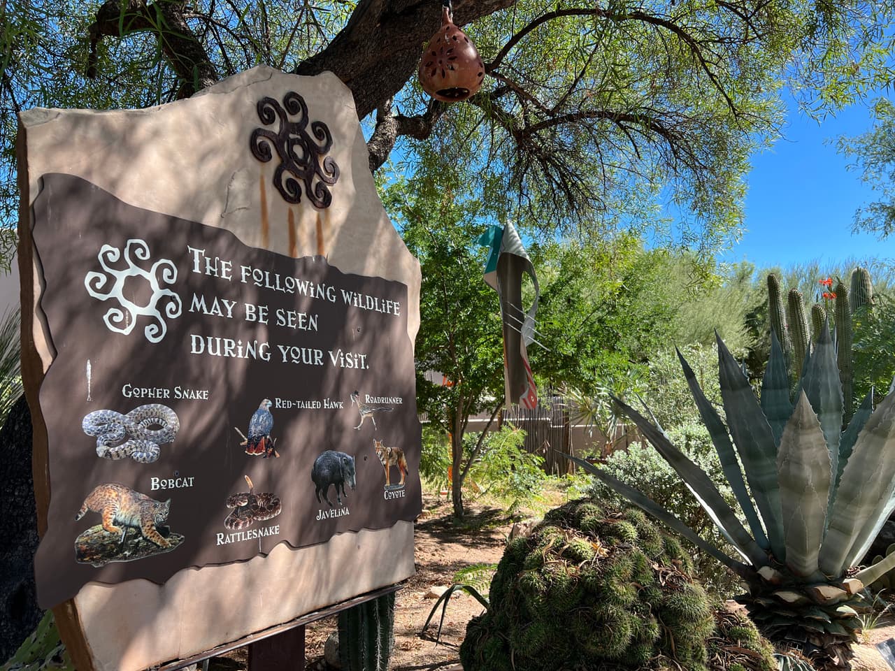 Remodelación en 2015.El resort agregó 32 nuevas habitaciones de lujo con impresionantes vistas a las montañas de Tucson, una piscina de borde negativo y un spa, y un hermoso espacio para eventos llamado Casa Luna que puede albergar hasta 250 personas para eventos especiales.