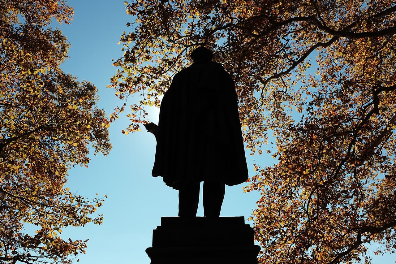 Así se vieron las últimas hojas otoñales del año en Prospect Park, Brooklyn.