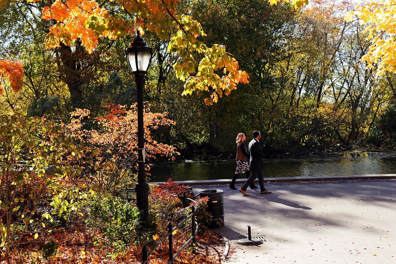 Así se vieron las últimas hojas otoñales del año en Prospect Park, Brooklyn.