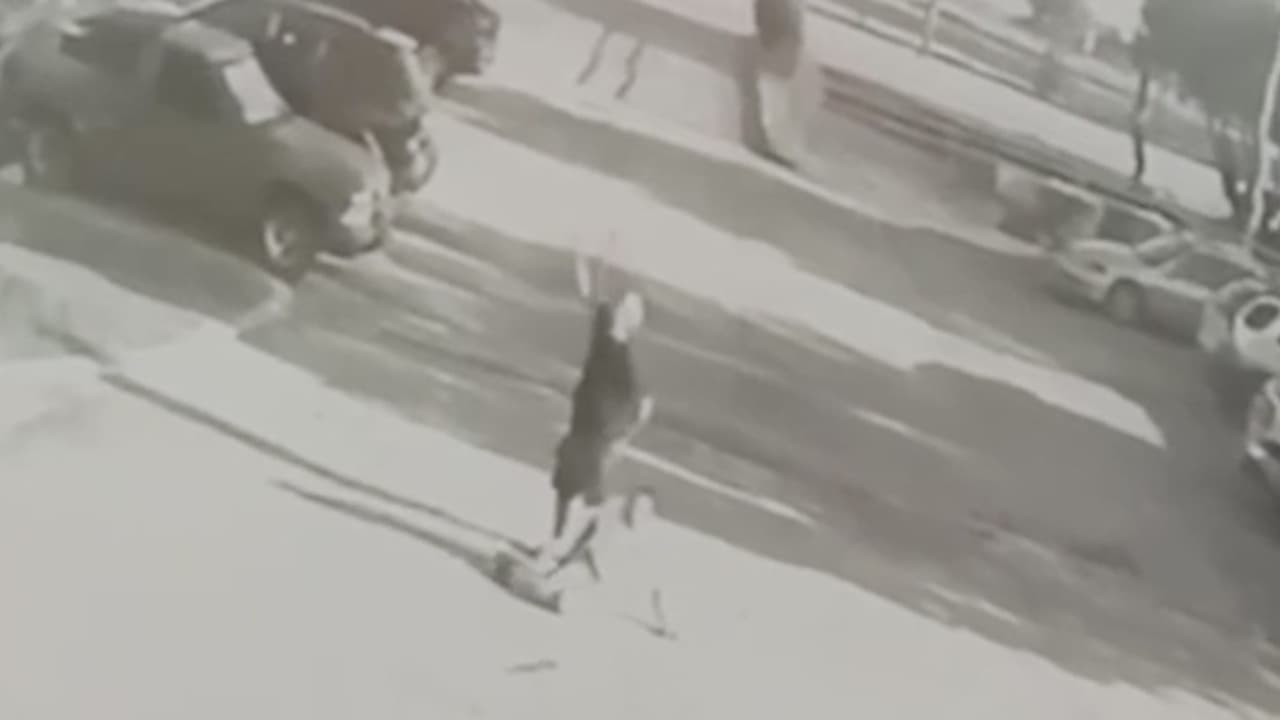 “Sentí el disparo”: sobreviviente de robo armado en San Antonio pide justicia tras ataque