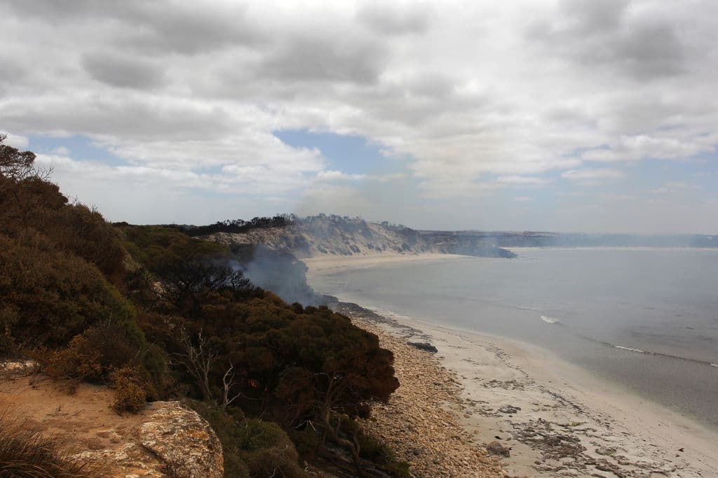 En la parte occidental de la isla Canguro, en el Parque Nacional Flinders Chase, se encuentran también colonias de pingüinos y formaciones rocosas costeras.