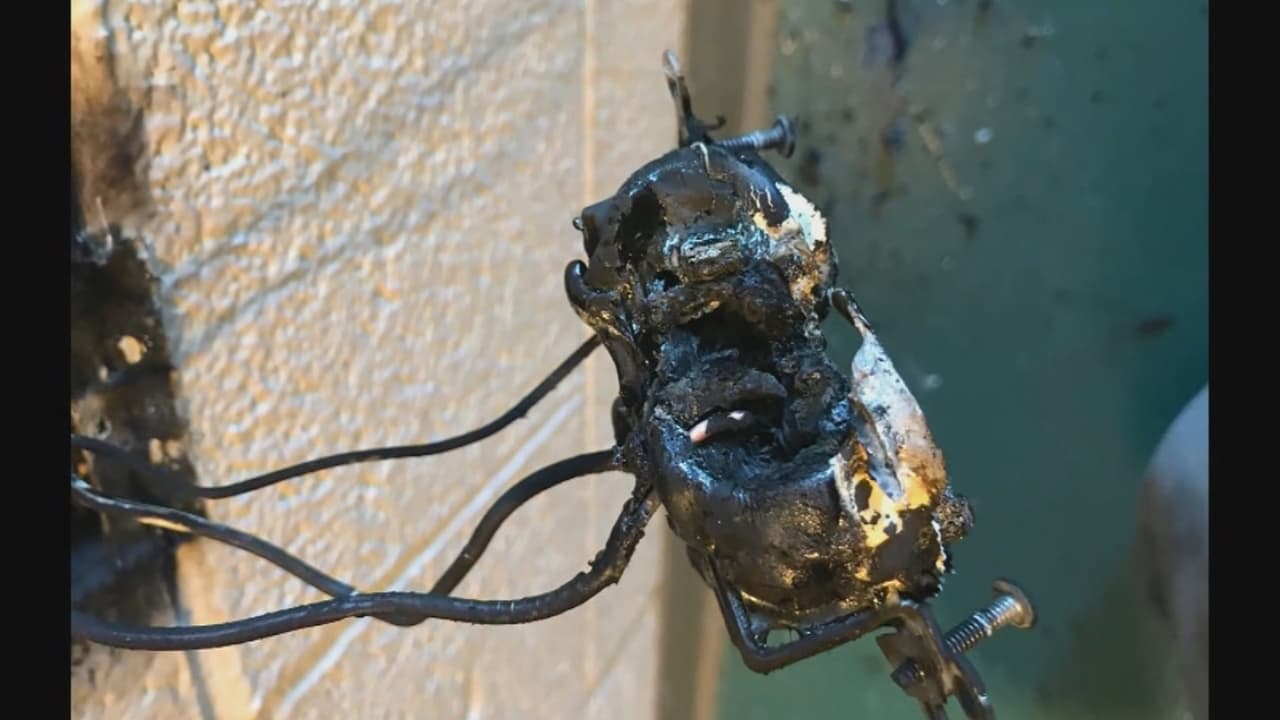 Alertan sobre los peligros de un video viral de TikTok