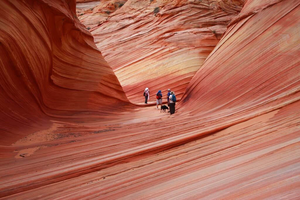 <b>The Wave</b> se encuentra en la zona conocida como Coyote Buttes North, que forma parte de
<b> Paria Canyon-Vermilion Cliffs Wilderness</b>, al norte de Arizona en los límites con Utah.