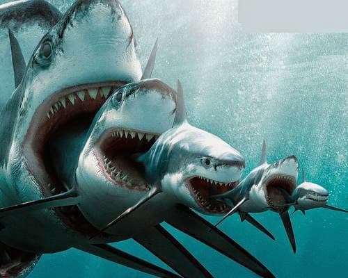 Dientes de Megalodón