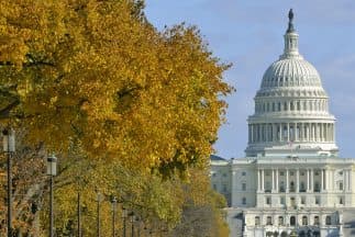 Perelló pide mayor presión al Congreso en el tema de PR