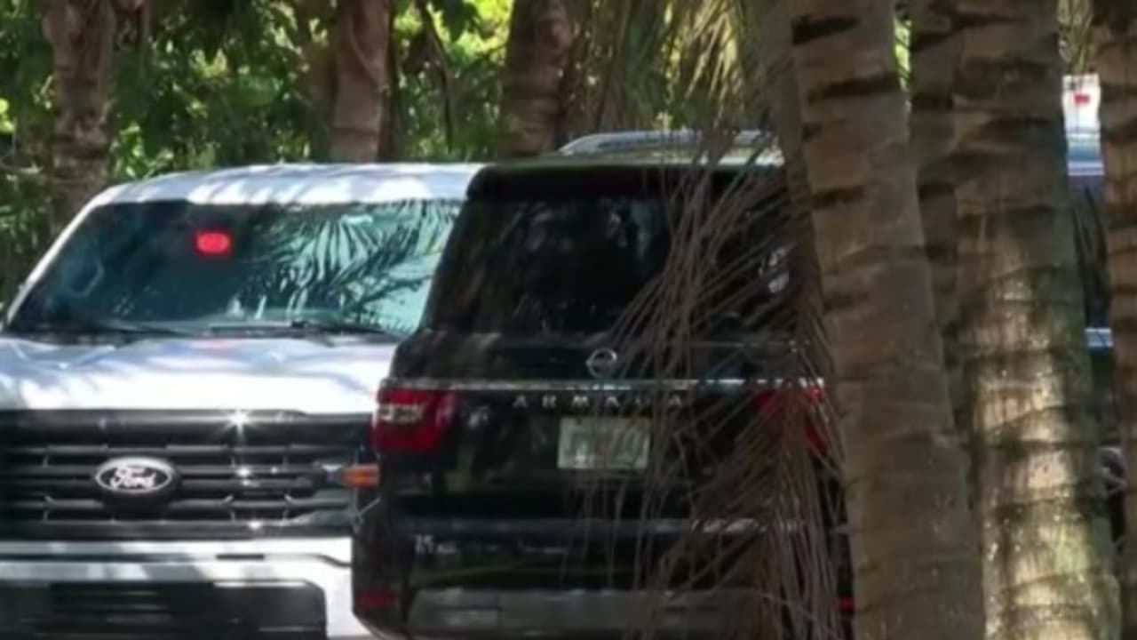 Desmantelan un criadero de gallos de pelea: también fueron decomisados narcóticos en el lugar