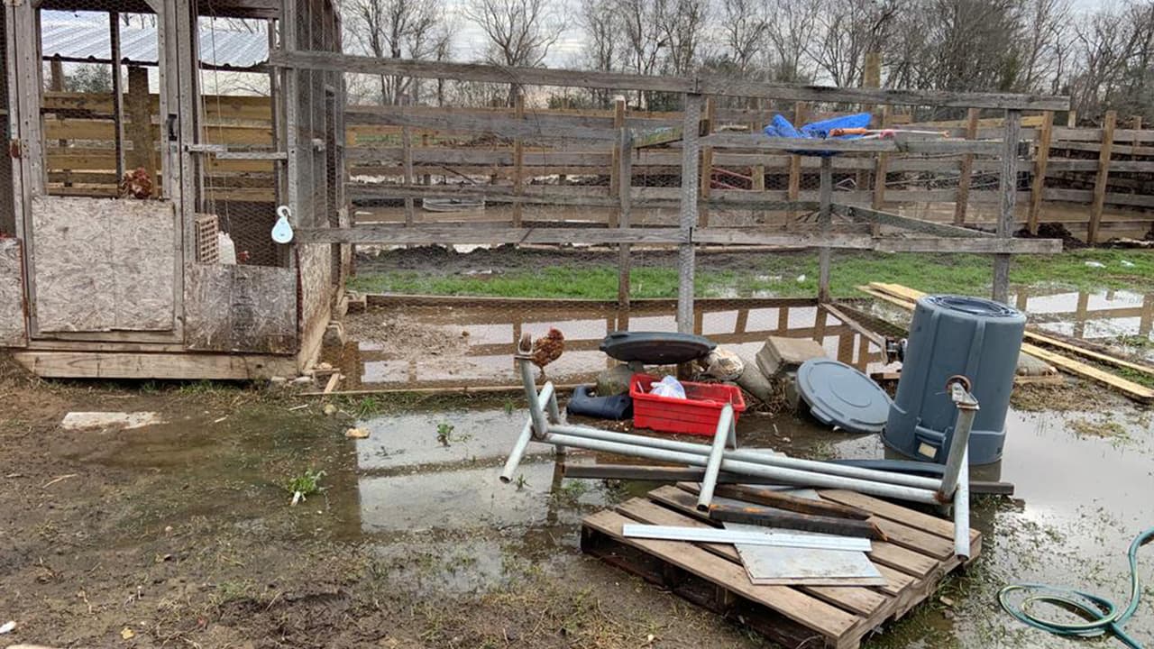 Aunque la investigación sigue su curso, las autoridades hablan sobre un caso de crueldad animal.