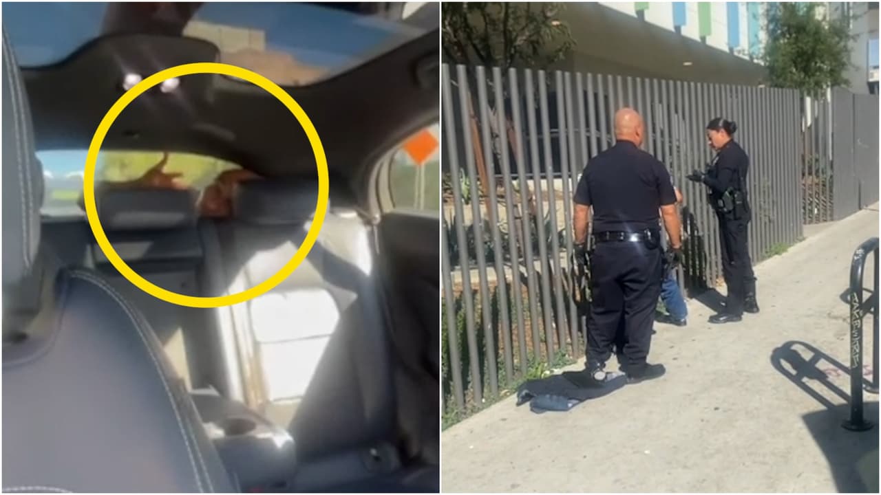 "¿Quién te metió ahí?": Pidió un Waymo para su hija y descubrió a un hombre escondido en el maletero