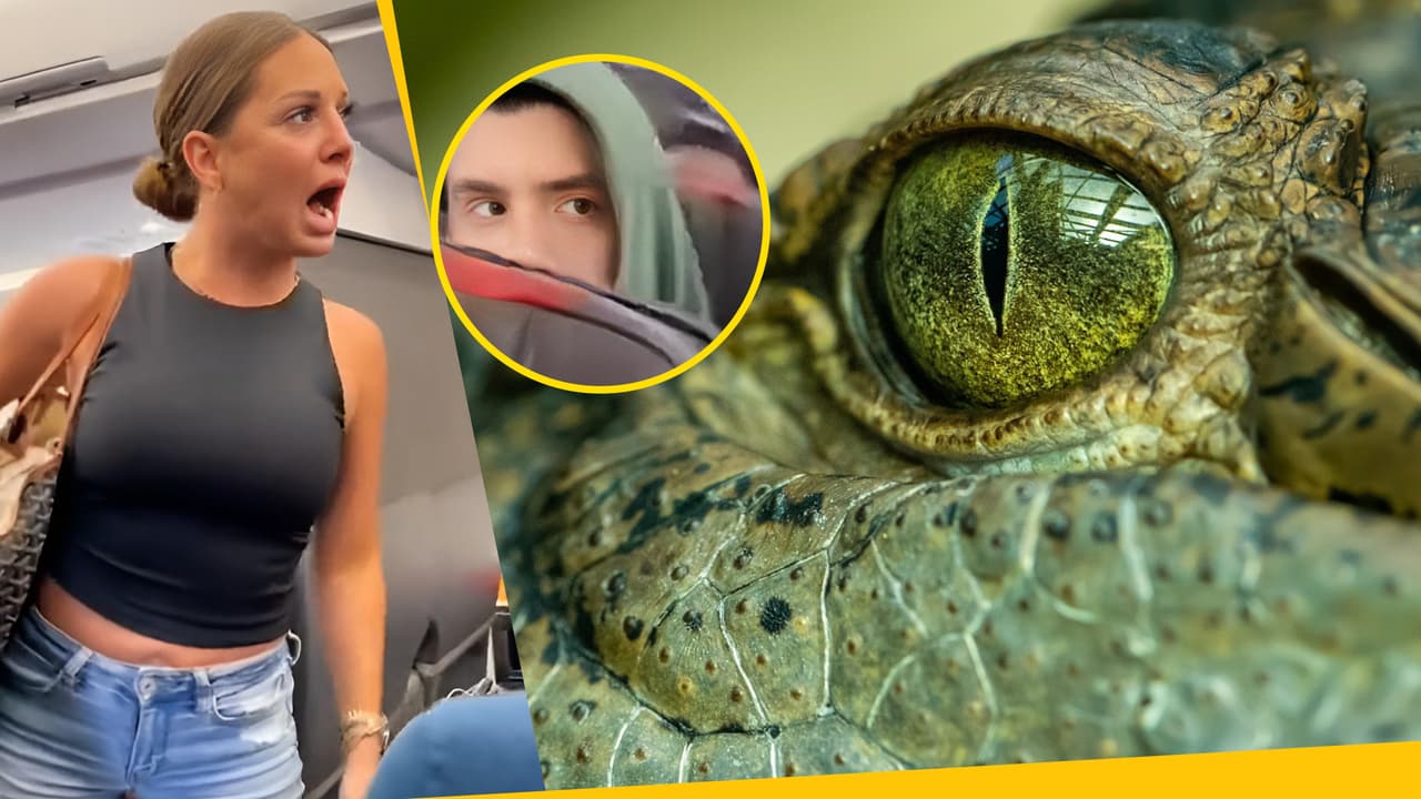 4 perturbadoras teorías que explicarían qué vio la mujer del avión que acusó a un pasajero de no ser real