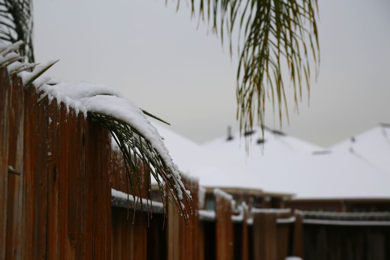 Los tejados quedaron completamente cubiertos de nieve.