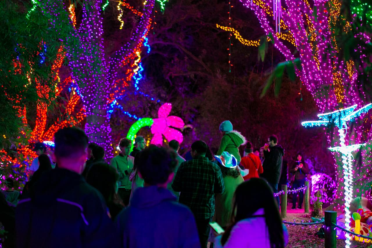 La iluminación ecológica LED decora los árboles e invita a vivir una experiencia única.