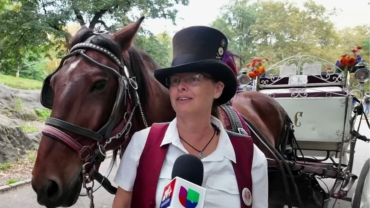 Nueva York evalúa retirar los carruajes tirados por caballos: Este es el plan de las autoridades