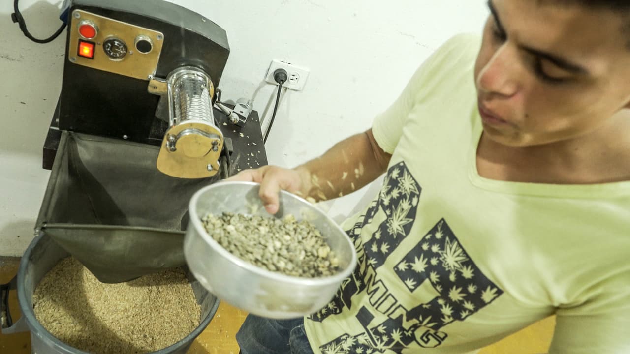 En 2015, el café que produce Astrid Medina ganó la prestigiosa Taza de la excelencia.