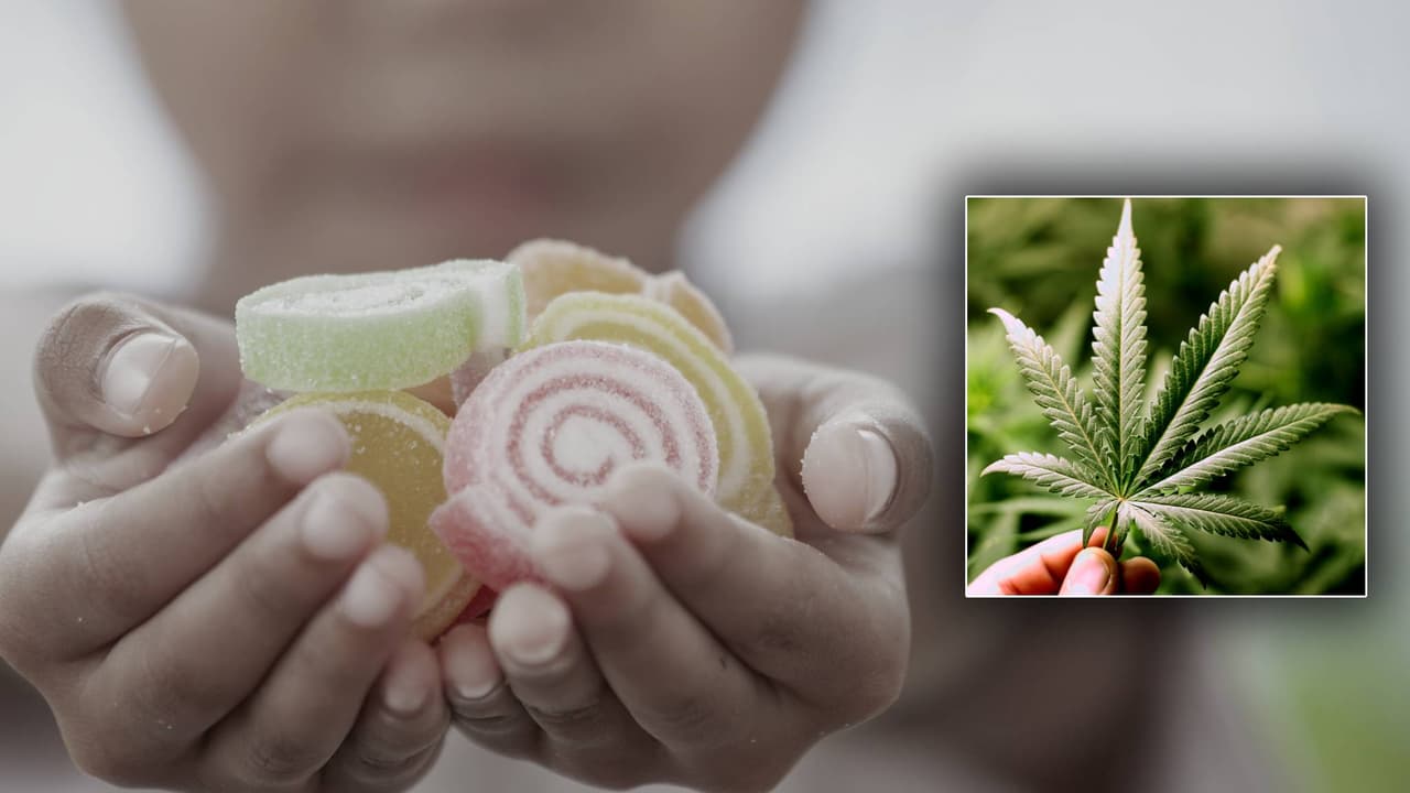 “Sentía que no estaba en mi cuerpo”: Latina de 13 años consume dulce con marihuana y se desmaya en su escuela