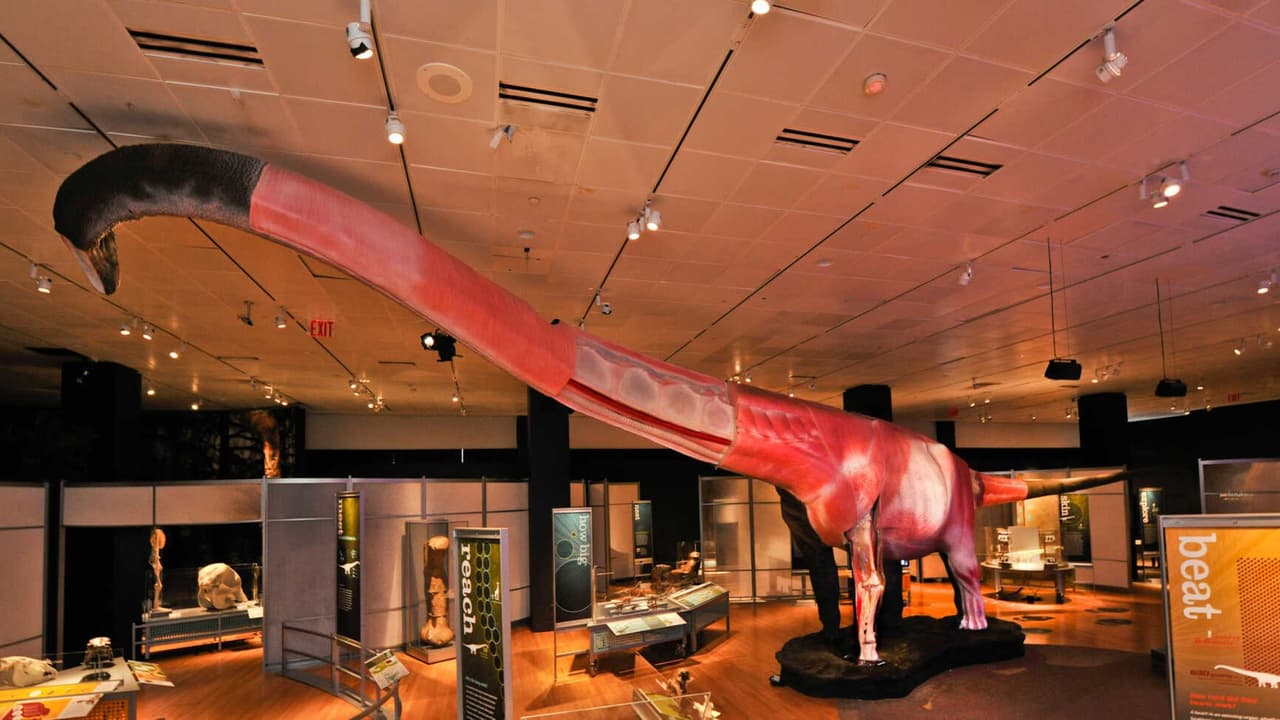 Los dinosaurios más imponentes a la Academia de Ciencias de California