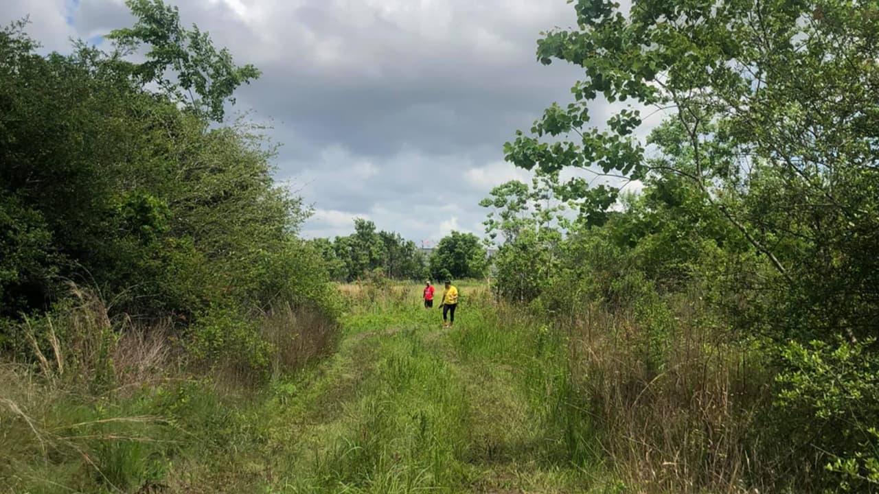 Familiares y amigos se reunieron todos los días para buscar en la zona que fue vista por última vez la madre de tres.