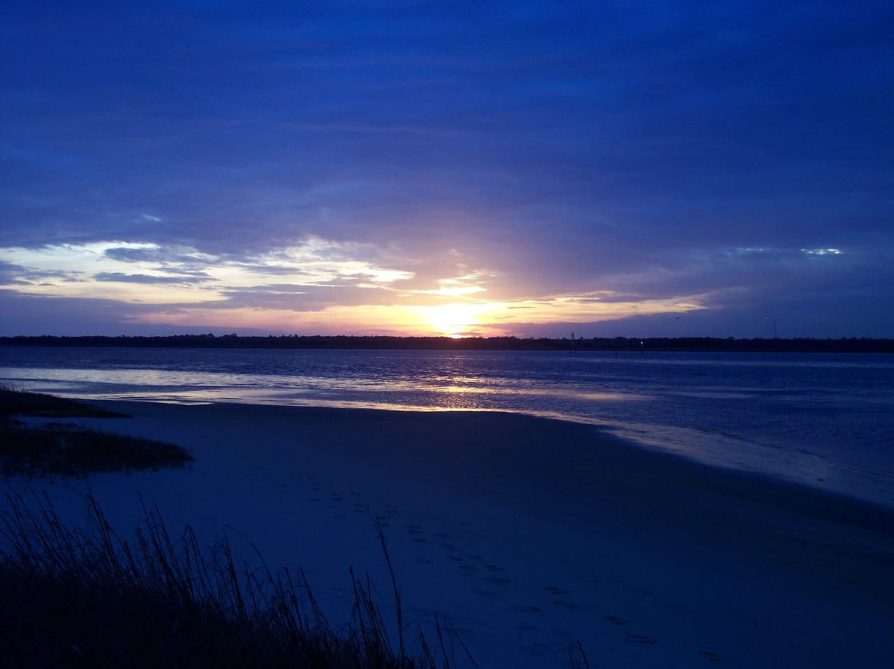 <b>CAROLINA BEACH STATE PARK</b>. Cuenta con un puerto deportivo que brinda acceso a algunos de los mejores lugares para pescar de Carolina del Norte, un área para acampar aislada debajo de árboles imponentes y millas de senderos para caminatas que atraviesan una variedad de hábitats distintos.