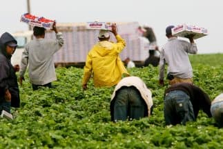 Sin importar estatus migratorio, empleadores deben pagar horas adicionales de enfermedad por covid 19