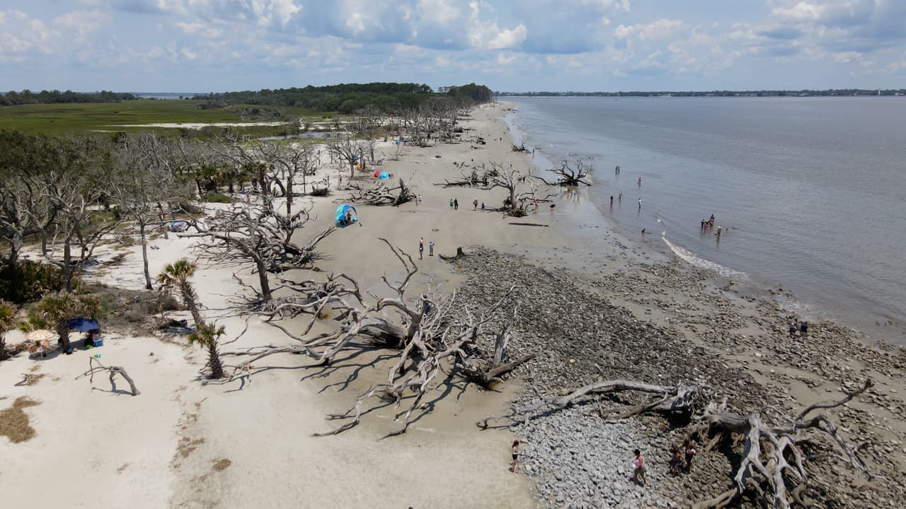 Conoce más sobre Driftwood Beach, 
<b><a href="https://www.goldenisles.com/driftwood-beach/">aquí</a></b>.
