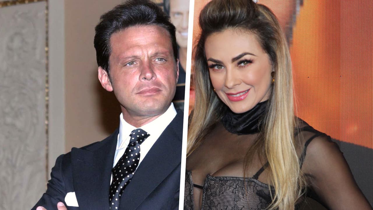 ¿Luis Miguel podría ir a la cárcel por demanda de Aracely Arámbula?