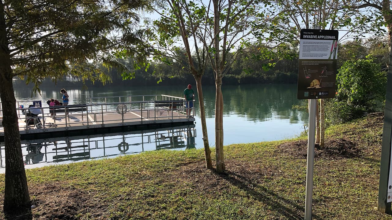 El parque cuenta con plataformas sobre el lago donde las familias pueden pescar, manteniendo la sana distancia.