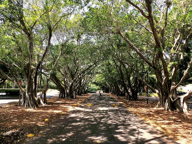 Village of Pinescrest, ubica en Miami Dade y está considerada como uno de los lugares más caros para vivir en EEUU.