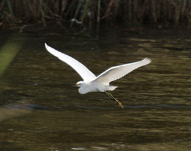 Winter Springs está localizada en Florida central, cerca de la ciudad de Orlando. Este lugar fue catalogado como uno de los mejores lugares para vivir en EEUU por Money Magazine.