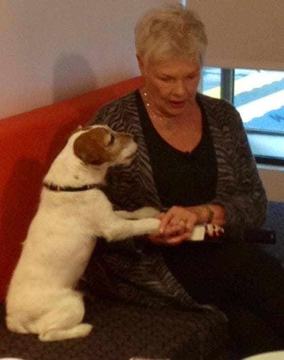 Y charló innumerables veces con Judy Dench.