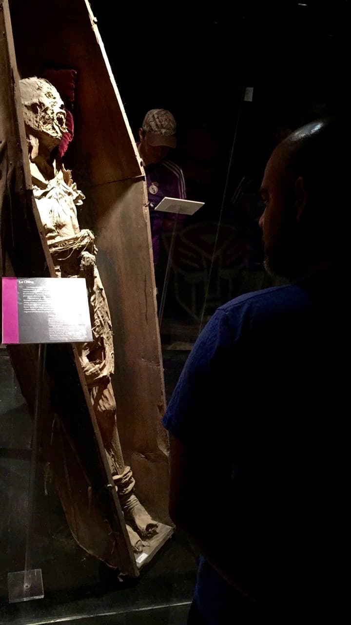 Lo cierto es que ahí se expone el significado de la muerte en la cultura mexicana.