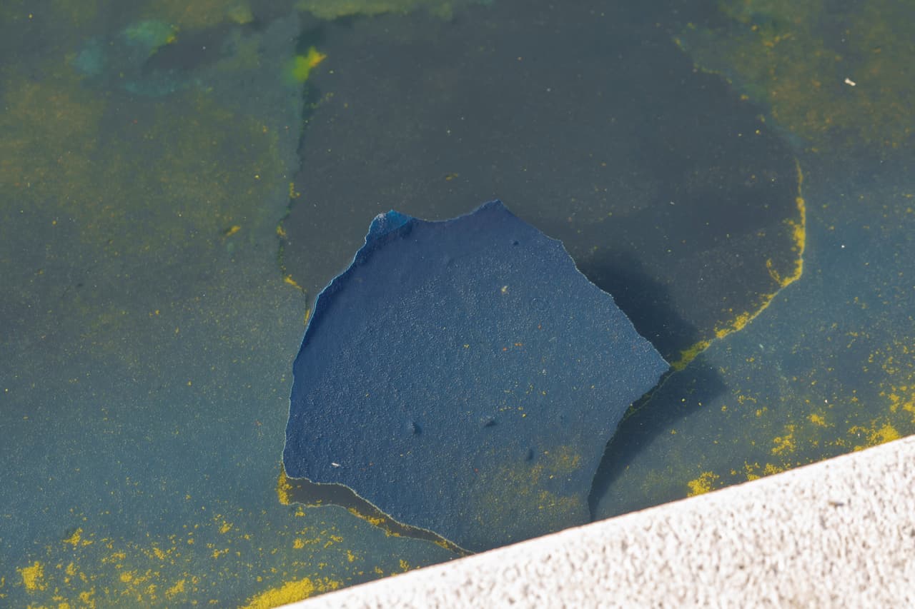 Se observa una sección descascarada del revestimiento azul en el estanque reflectante del Monumento a Lincoln.