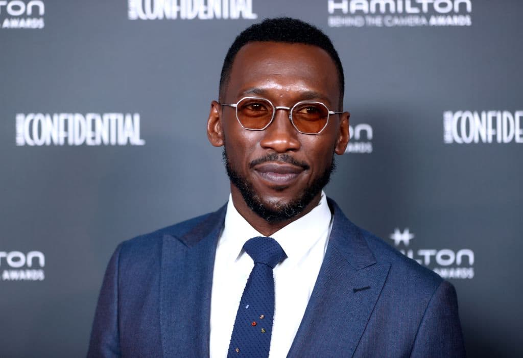 <b>Mahershala Ali</b>
<br>El actor que interpretará a Blade en las películas de Marvel ha ganado dos premios Oscar por su actuación en 'Moonlight' y en ‘Green Book’. Además de aparecer en ‘House of Cards’, también fue parte de la serie ‘Law and Order: SVU’.
