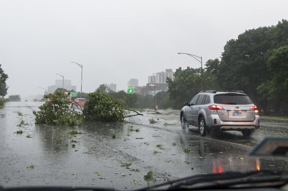 La tormenta conocida como 'derecho' duró varias horas y afectó el este de Nebraska, Iowa y partes de Wisconsin e Illinois. Los conductores intentan esquivar las ramas de los árboles que se rompieron debido a la tormenta Derecho y cayeron sobre la autopista Lake Shore, en Chicago.