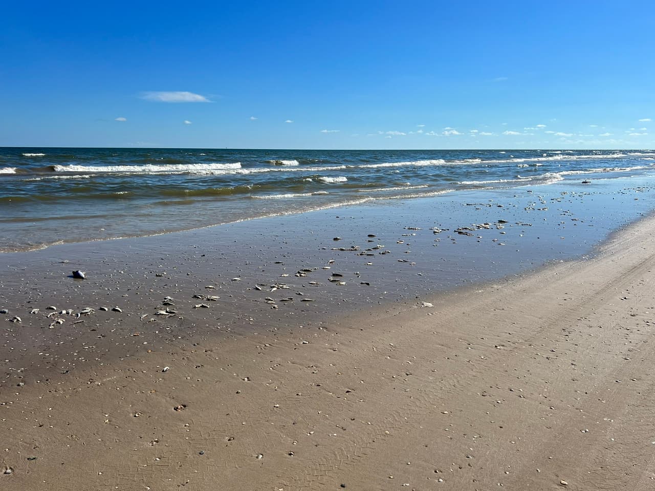 <b>La irritación de ojos y garganta causada por la marea roja se debe a las altas concentraciones de algas y al oleaje agitado. </b>Estas condiciones hacen que el irritante de la marea roja quede suspendido en el aire en la niebla salina. La irritación suele ser escasa o nula cuando las condiciones del oleaje son relativamente tranquilas.