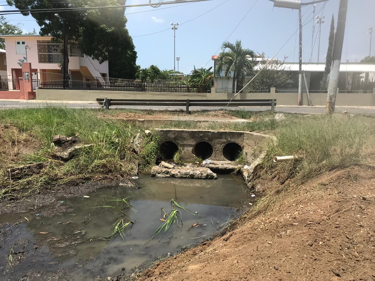 Limpieza en Cabo Rojo.