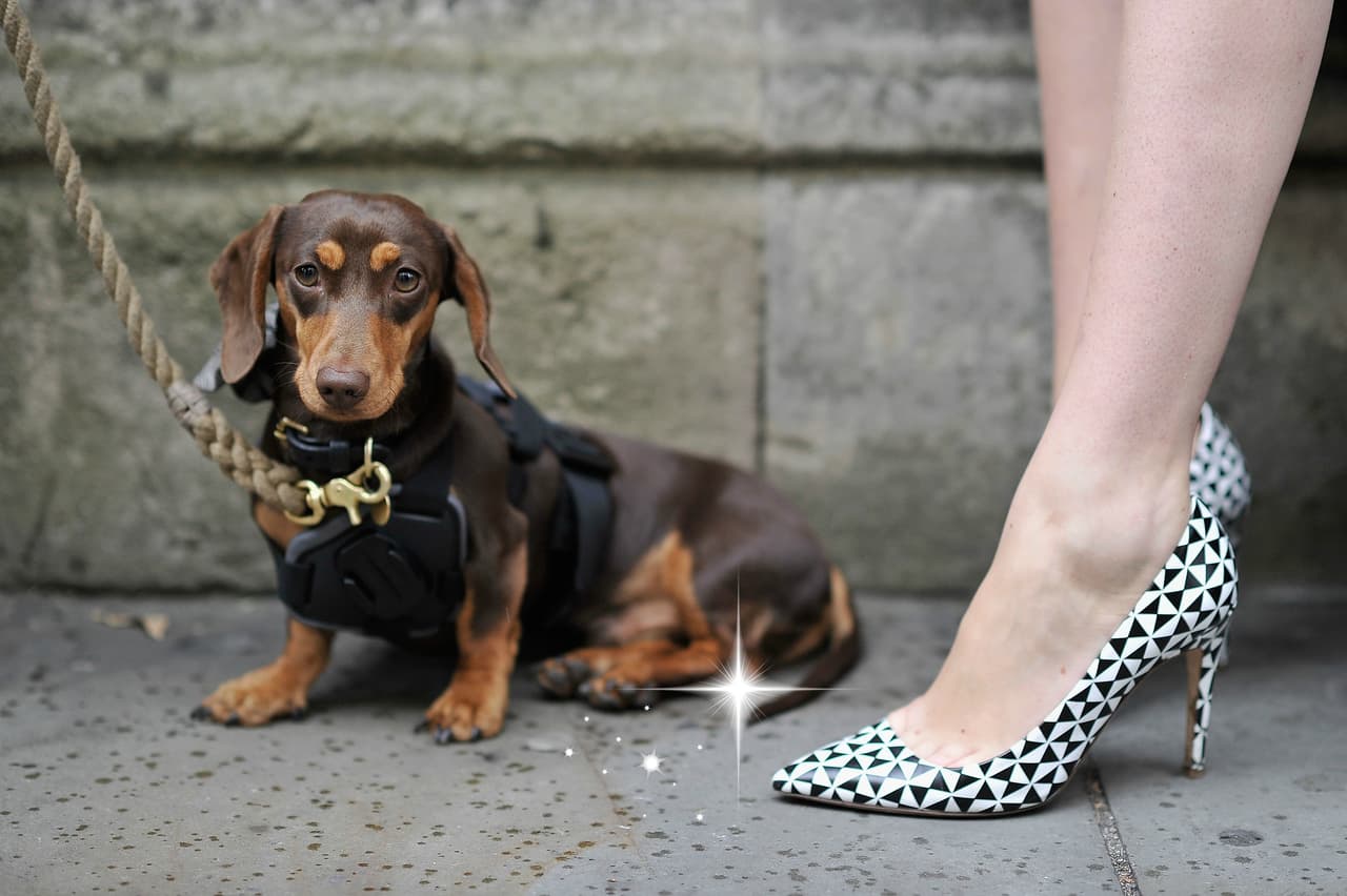 Las 7 anti-reglas para usar zapatos de colores 