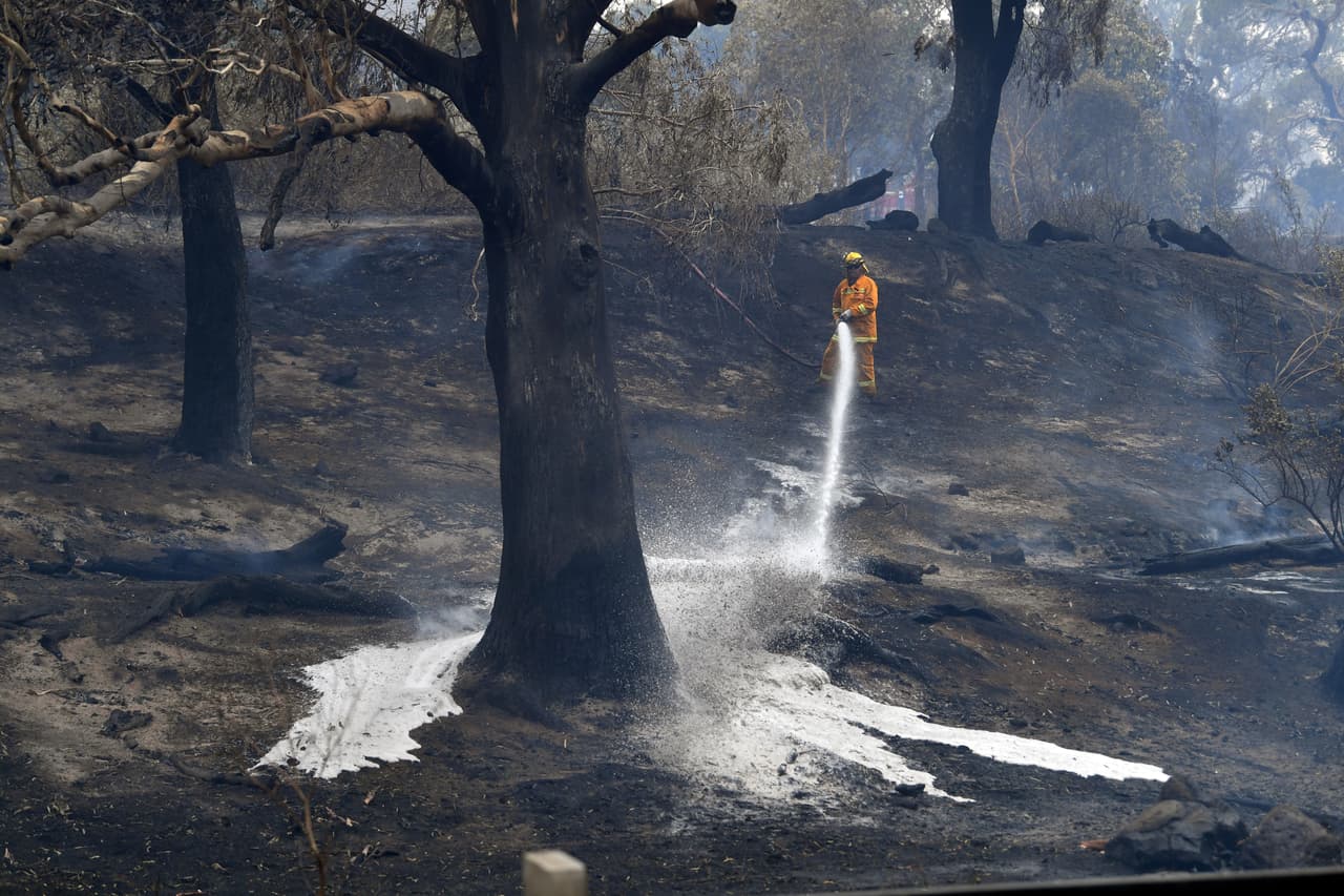 Un bombero riega con espuma antiinflamable esta zona que ya ha sido arrasada por las llamas en Bundoora. El lunes en el estado de Australia Occidental las temperaturas alcanzaron los 47 °C. Han superado los 40 °C en todo el territorio.