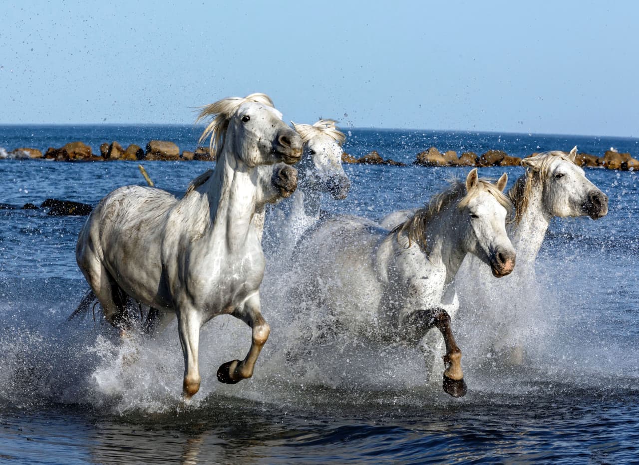 ¡Vaya manera de lucir encantadores al ejercitarse!