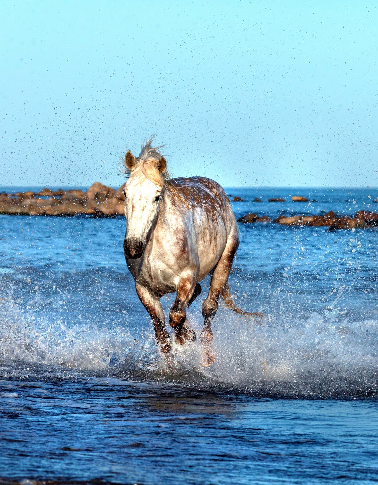 ¡Levantaban el agua a su paso, de tan rápido y fuerte que pisaban!