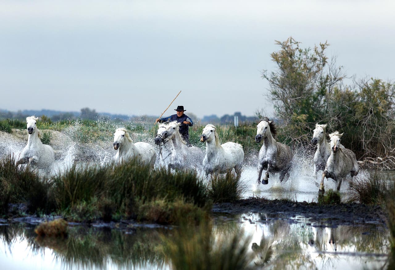 En sus ojos se podía apreciar lo divertidos que estaban.