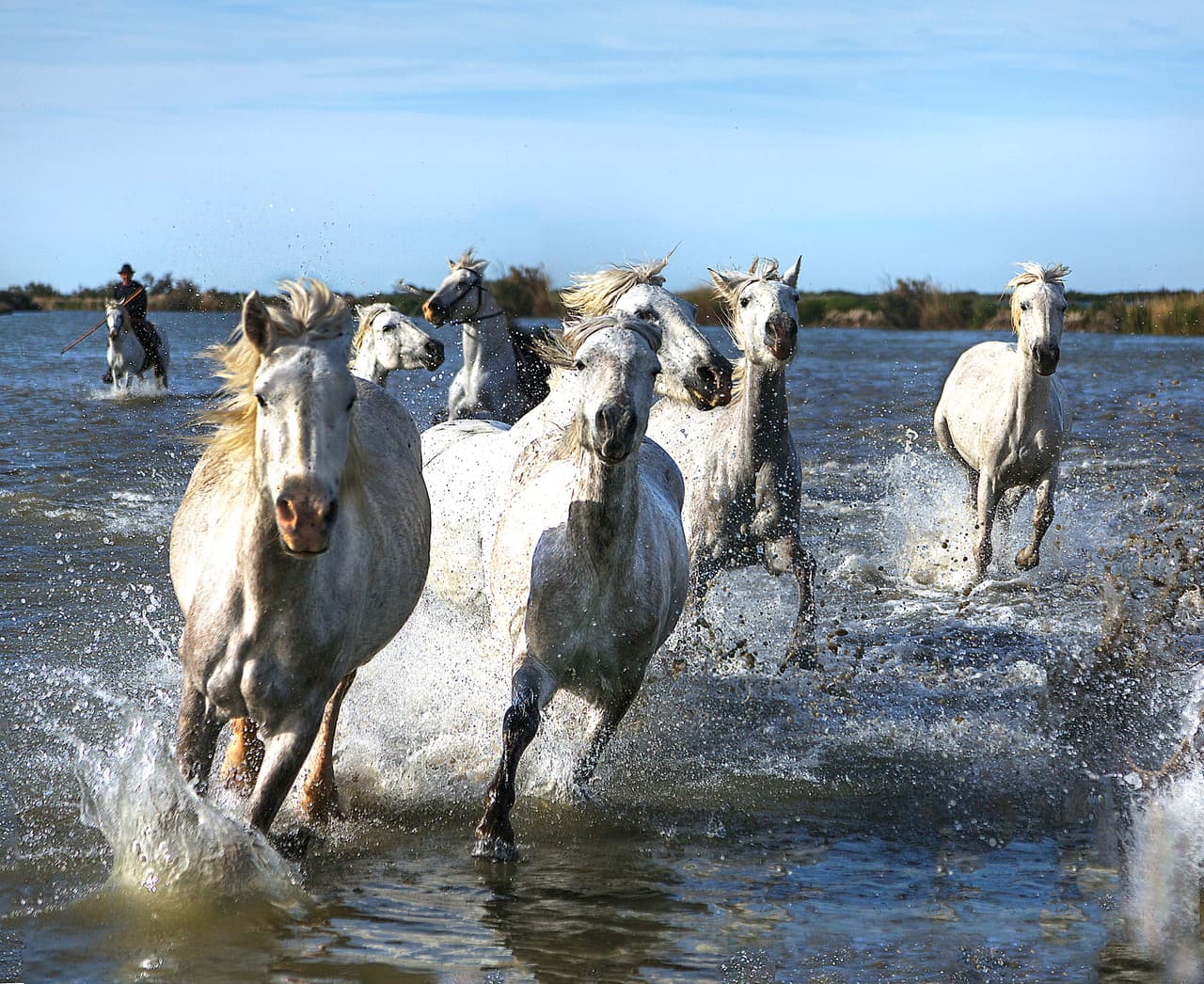 El aire alborotó su cabello mientras galopaban en el mar.