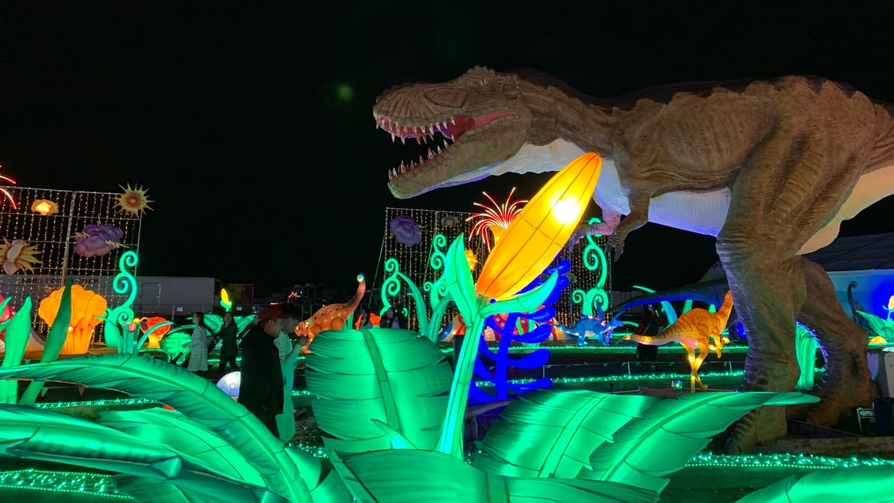 Fue una familia de Houston originaria de China quien tuvo la idea de crear este
<a href="https://www.univision.com/local/houston-kxln/luces-navidenas-espectaculos-discovery-green-zoologico-de-houston-magical-winter-lights-houston-texas-fotos">espectáculo. </a>
