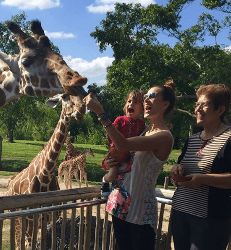 A Michelle le encanta visitar el zoológico y saludar a sus amigas las jirafas.