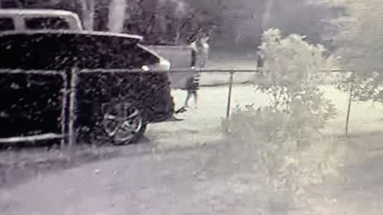 Se informó que, al parecer, antes de llegar a la vivienda de los McClain, el sospechoso manejaba una camioneta que fue impactada por el ferrocarril y terminó varada en una zona boscosa, donde luego fue ubicada por las autoridades.