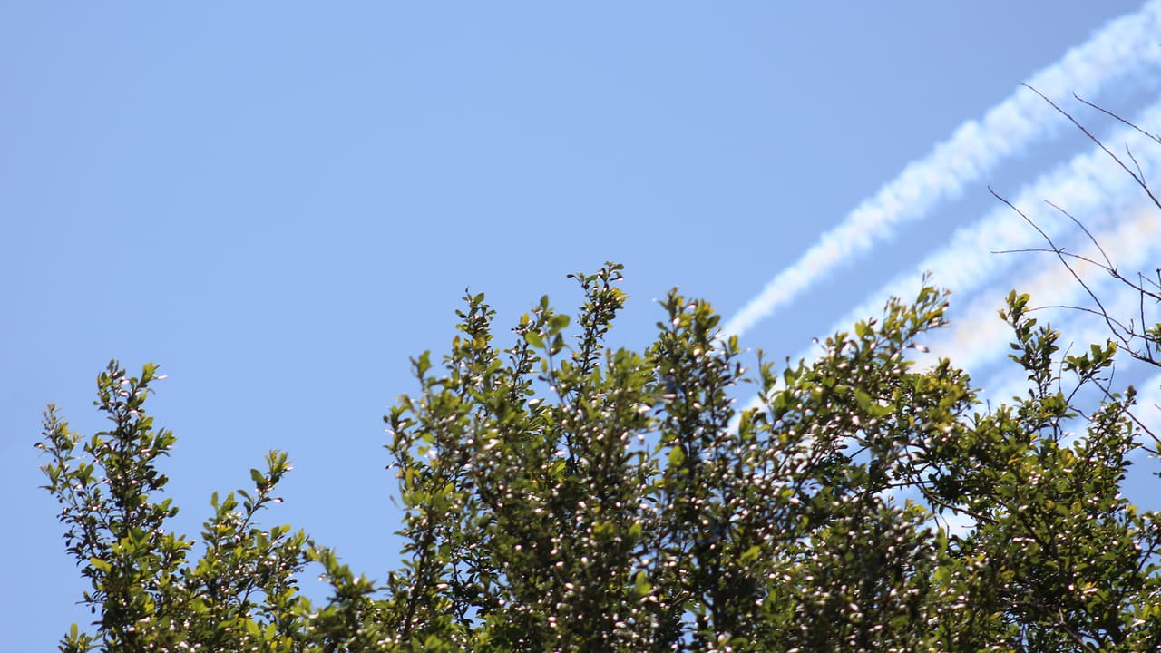 Entre las ciudades que contemplaron para este homenaje se encuentran Houston, Dallas, Fort Worth, Nueva York, Atlanta, y Nueva Orleans entre otras.