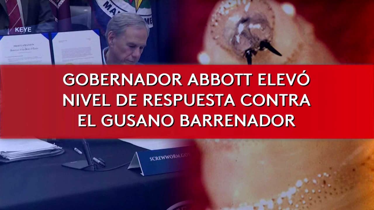Texas confirma dos nuevos casos de gusano barrenador en ganado y un perro
