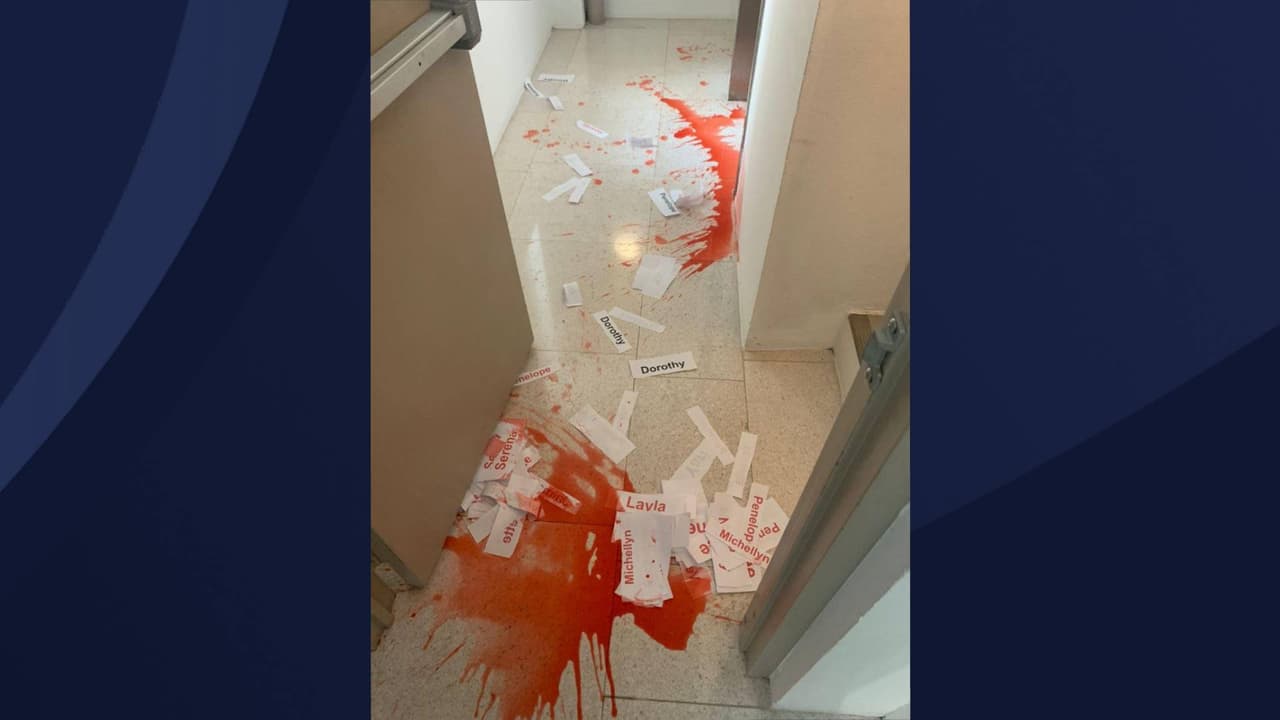 Activistas piden que se declare estado de emergencia en Puerto Rico por feminicidios