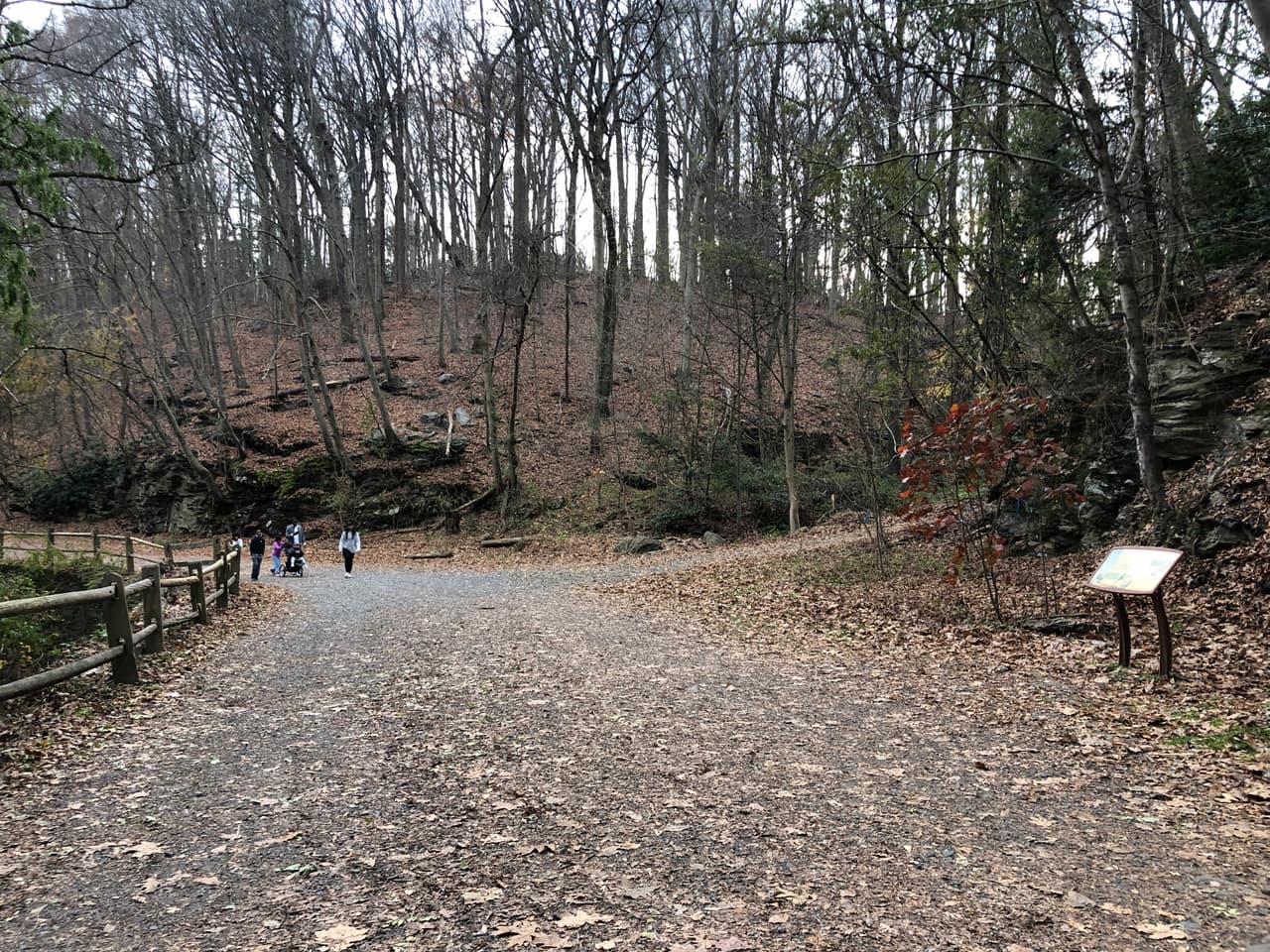Forbidden Drive Trail es una rara conversión de camino a sendero que recorre la sección más espectacular de Wissahickon Creek durante 5.4 millas. Construida a mediados de la década de 1800 como una autopista de peaje, esta carretera pasó a llamarse Forbidden Drive en 1920 cuando se prohibió la circulación de vehículos. Hoy en día, el sendero está abierto para caminar, montar a caballo y andar en bicicleta, aunque la superficie de grava y tierra no es adecuada para bicicletas con neumáticos más delgados.
<br>