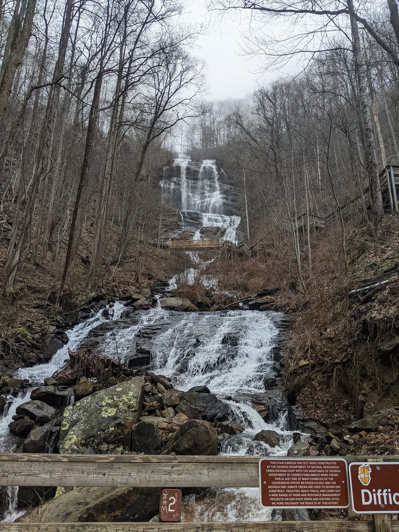 Con 729 pies de altura, Amicalola Falls es la joya del viaje, ya que es la cascada más alta del sureste del país.